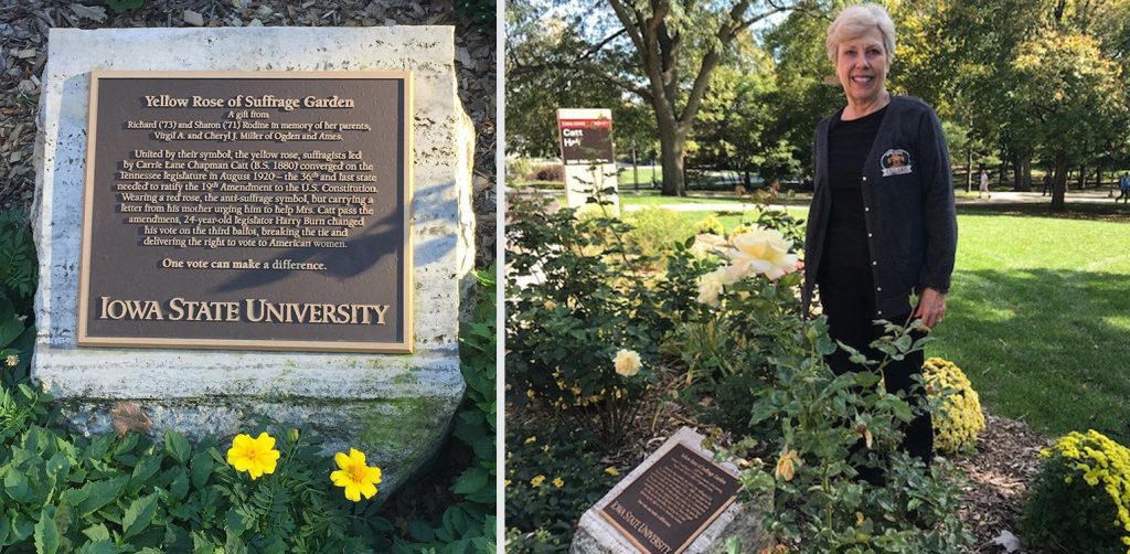 The Yellow Rose of Suffrage Garden outside Catt Hall was established in 2013 by Sharon and Richard Rodine.